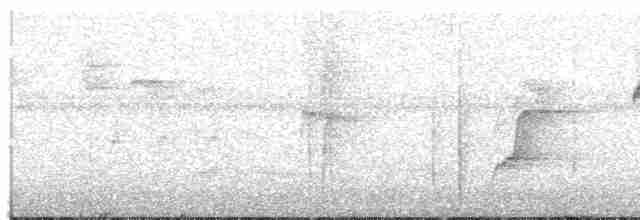 Тиран-крихітка чорноголовий - ML590987731