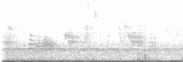 Weißbrustkleiber (aculeata/alexandrae) - ML591003661