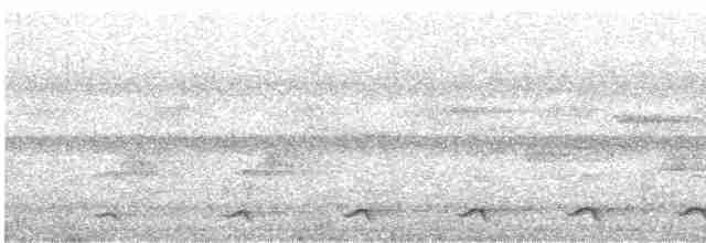 Bar-tailed Trogon - ML591049601