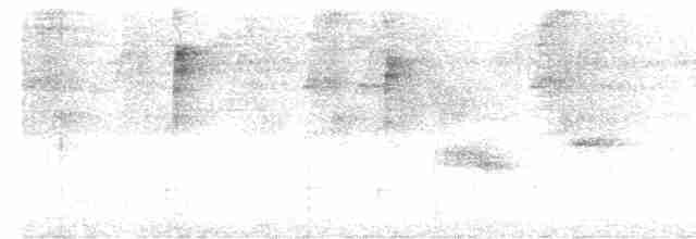 Зернолуск білогорлий - ML591052021