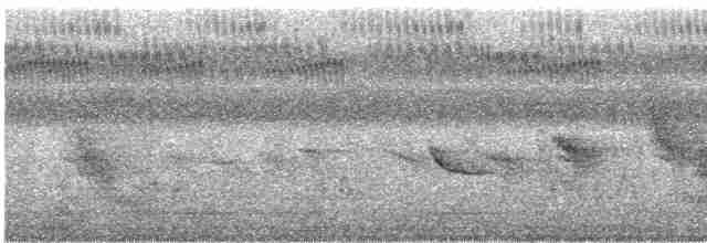 Сенегальский зимородок - ML591052921