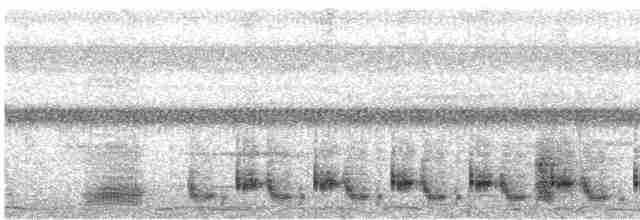 Papyrusrohrsänger - ML591053561
