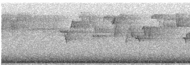 bånddue (fasciata gr.) - ML591095381