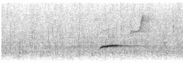 Bülbül Ardıcı [ustulatus grubu] - ML591095921