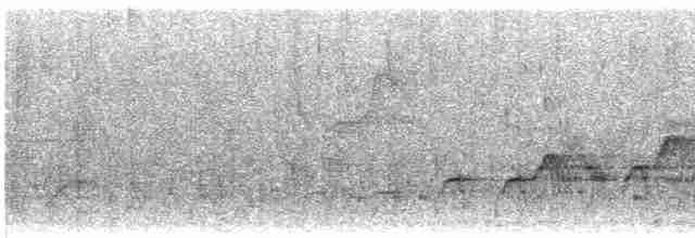 Bülbül Ardıcı [ustulatus grubu] - ML591095941
