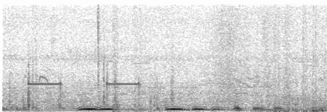 Кафрский рогатый ворон - ML591102521