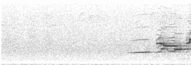 Hermit Thrush (faxoni/crymophilus) - ML591126071
