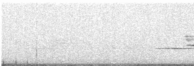 Дрізд-короткодзьоб плямистоволий - ML591145121