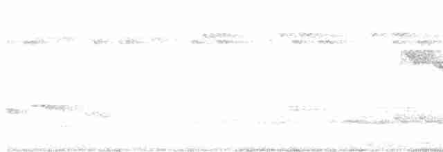 Papamoscas de Manglar - ML591161901