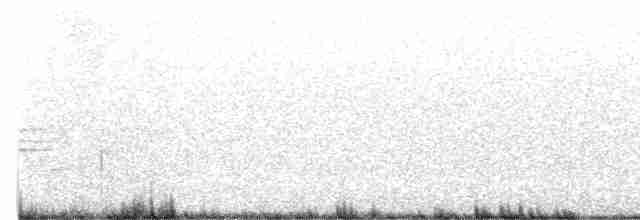 Münzevi Bülbül Ardıcı - ML591176221