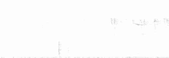 Tukanbartvogel - ML591208251