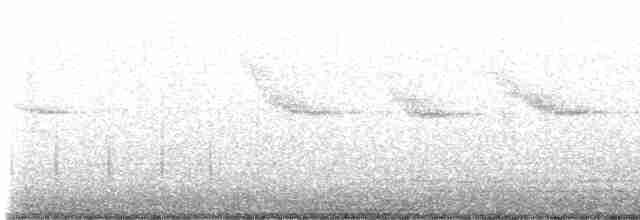 Common Yellowthroat - ML591270041