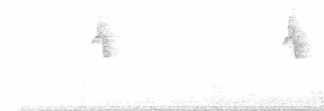 Gri Sırtlı Ardıç - ML591270241