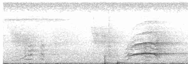 Бурая птица-носорог - ML591286251