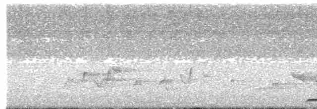 Кораловоклювая воронья кукушка - ML591287131
