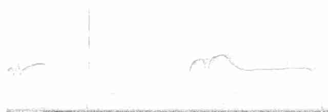 Schwarzkehl-Nachtschwalbe - ML591295241