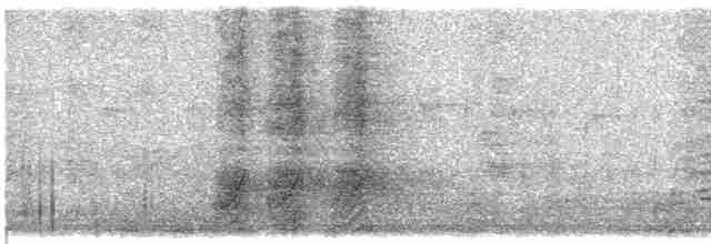 Kara Gagalı Saksağan - ML591312131