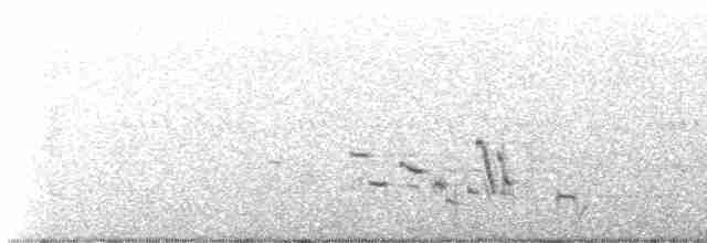 Western Meadowlark - ML591314221