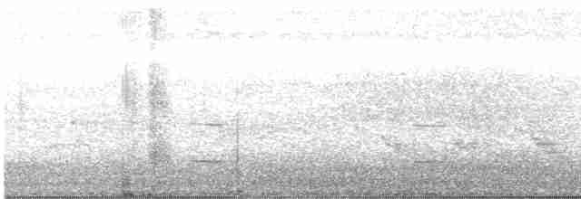Kestane Kanatlı Tepeli Guguk - ML591324691