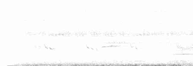 Кустарниковая кукушка - ML591332121