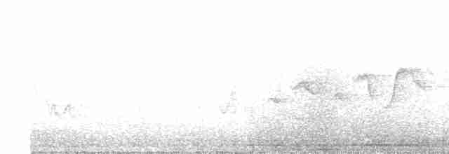 Hooded Warbler - ML591348131