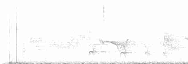 Cerulean Warbler - ML591364301