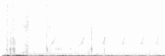 Vireo Ojiblanco - ML591367221