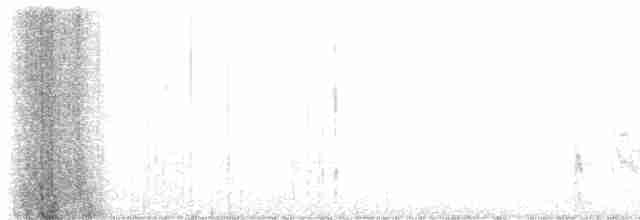 White-eyed Vireo - ML591367231