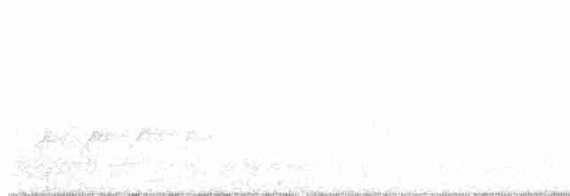 Hooded Warbler - ML591374121