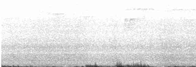 alkoun holubí - ML591376381