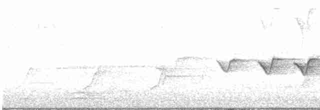 Hooded Warbler - ML591417181