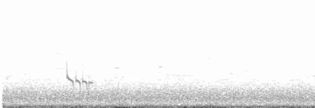 Kısa Gagalı Suçulluğu (griseus) - ML591417321