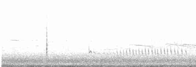 Короткоклювый бекасовидный веретенник (griseus) - ML591417751
