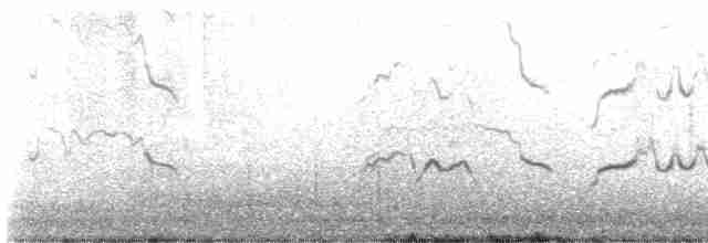 裏海燕鷗 - ML591423971