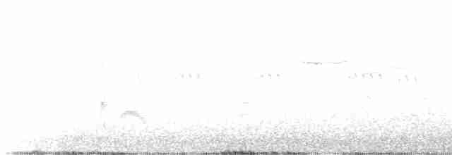 Серогрудый тиранн - ML591444641