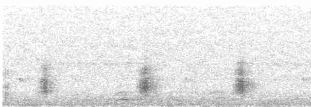 Bubú Oliváceo - ML591452411