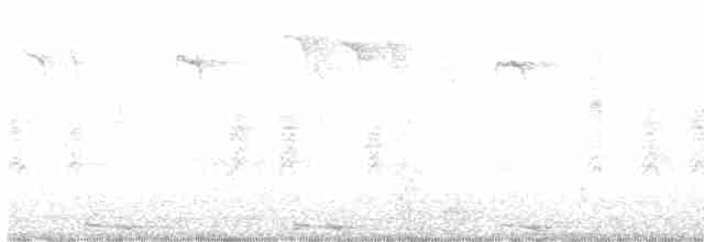 Yellow-billed Cuckoo - ML591472481