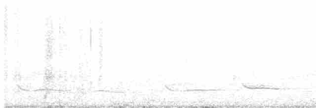 Oriole d'Audubon - ML591473451