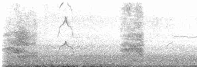 裏海燕鷗 - ML591528861