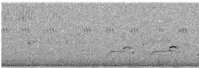 חרמשון ארוך-מקור - ML591533041