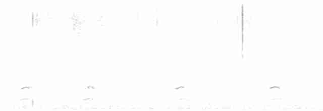 אווז הוואי - ML591552741