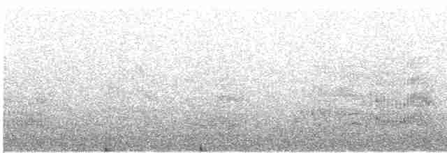 Tepeli Büyük Sumru - ML591577131
