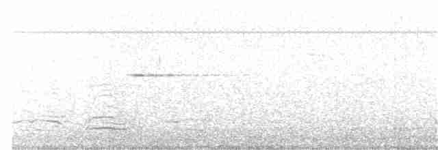 Орлан білоголовий - ML59157891