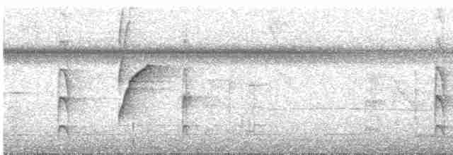 Светлоголовая якамара - ML591579381