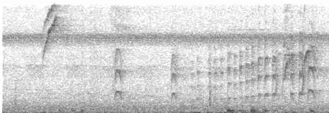 Светлоголовая якамара - ML591579441