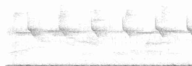 Тёмногорлый колибри-отшельник - ML591585991