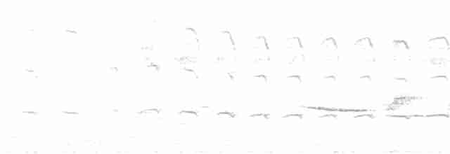 Дятел-смоктун сосновий - ML591593661