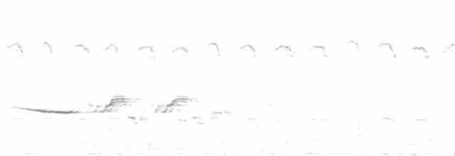 Münzevi Bülbül Ardıcı - ML591593831