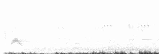 Серогрудый тиранн - ML591605951