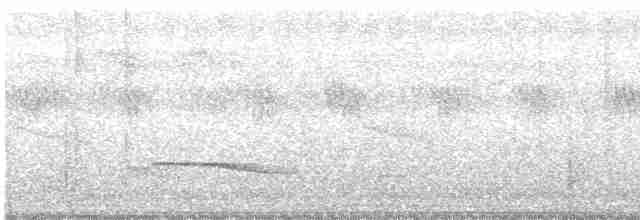 Gray-bellied Cuckoo - ML591606341